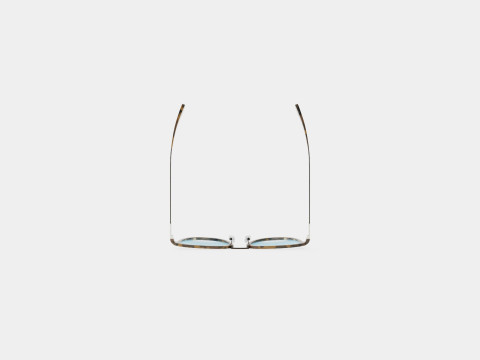 Persol - 0PO3165S 52 Sunglasses 3D मॉडल