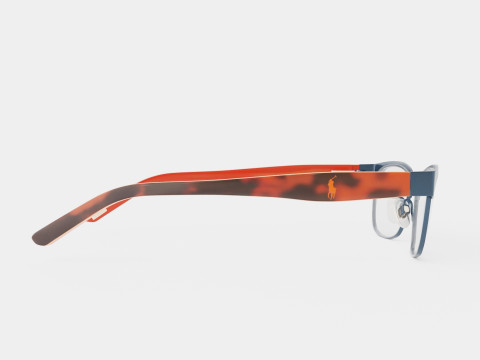 Polo Prep - PP8036 3134 Glasses Model 3D