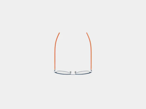 Polo Prep - PP8036 3134 Glasses 3D Model