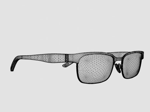 Polo Prep - PP8036 3134 Glasses 3D Model