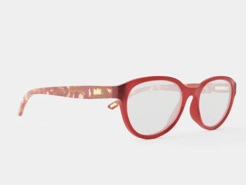 Polo Prep - PP8526 5762 眼镜 3D 模型