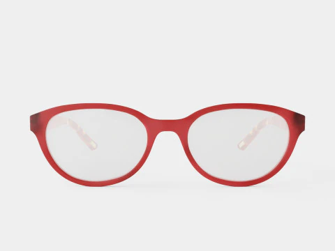 Polo Prep - PP8526 5762 Glasses 3D Model