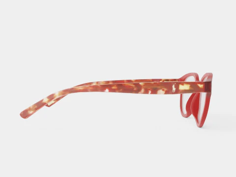 Polo Prep - PP8526 5762 Glasses 3D Model