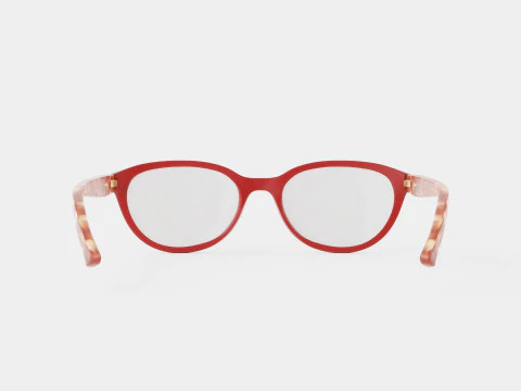 Polo Prep - PP8526 5762 Glasses 3D Model