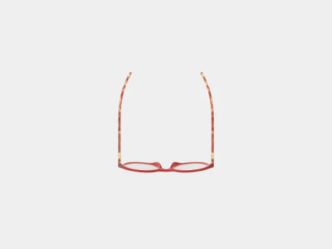 Polo Prep - PP8526 5762 Glasses 3D Model