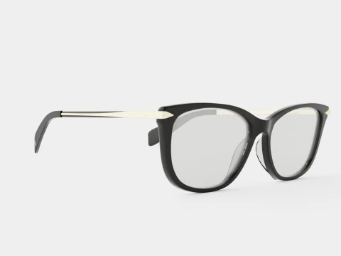 Rag and Bone - RNB3010 2M2 안경 3D 모델