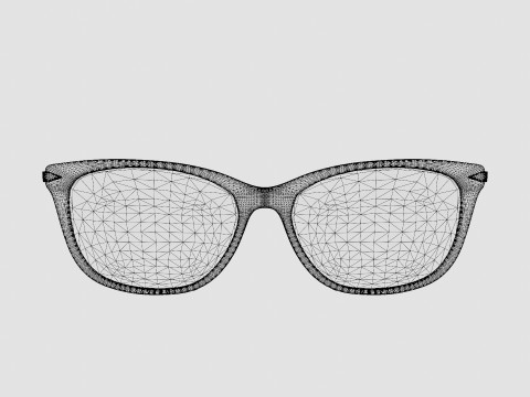 Rag and Bone - RNB3010 2M2 Glasses 3D 모델