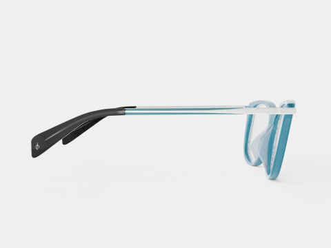 Rag and Bone - RNB3010 ECJ Glasses 3D 모델