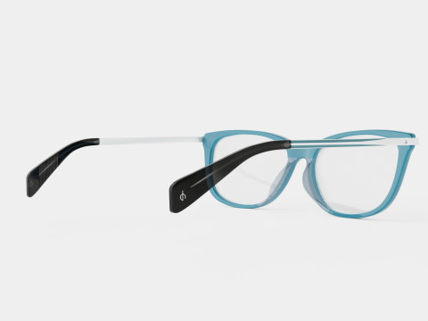 Rag and Bone - RNB3010 ECJ Glasses 3D 모델