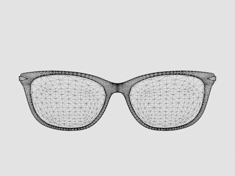 Rag and Bone - RNB3010 ECJ Glasses 3D 모델