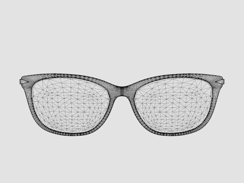 Rag and Bone - RNB3010 ECJ Glasses 3D Model