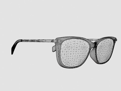 Rag and Bone - RNB3010 ECJ Glasses 3D 모델