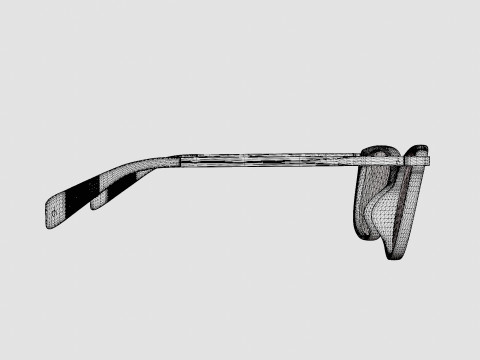 Rag and Bone - RNB3010 ECJ Glasses 3D 모델