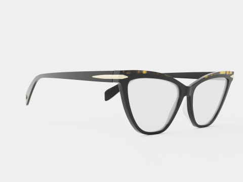Rag and Bone - RNB3020 807 Glasses 3D Model