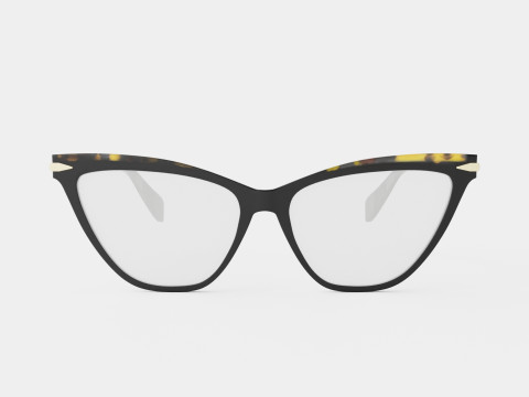 Rag and Bone - RNB3020 807 Glasses 3D Model