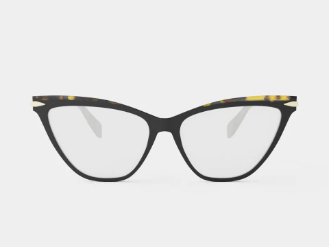 Rag and Bone - RNB3020 807 Glasses 3D Model