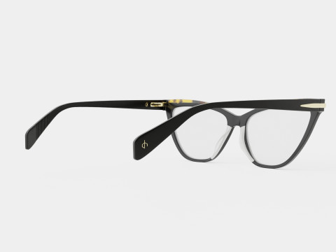 Rag and Bone - RNB3020 807 Glasses 3D Model
