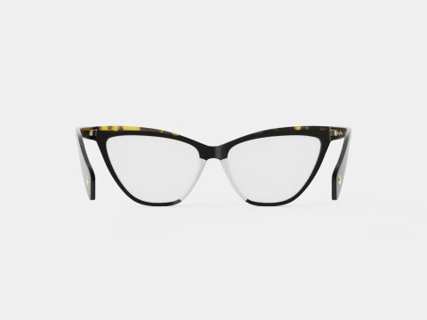Rag and Bone - RNB3020 807 Glasses 3D Model