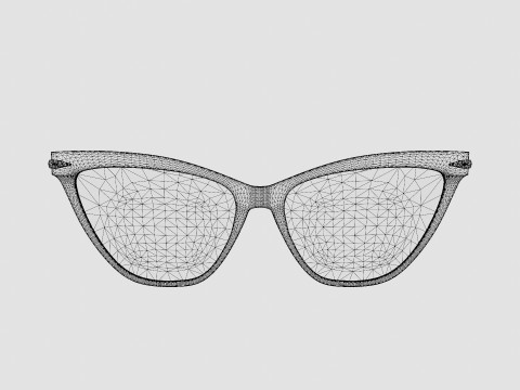 Rag and Bone - RNB3020 807 Glasses 3D Model