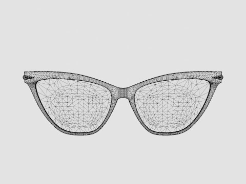 Rag and Bone - RNB3020 807 Glasses 3D Model