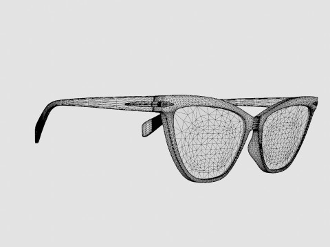 Rag and Bone - RNB3020 807 Glasses 3D Model