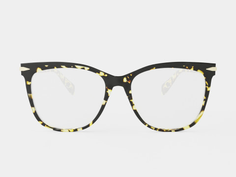 Rag and Bone - RNB3024 086 Glasses 3D Model