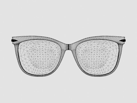 Rag and Bone - RNB3024 35J Glasses 3D 모델