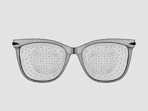 Rag and Bone - RNB3024 35J Glasses 3D Model