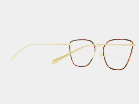 Rag and Bone - RNB3028 06J Glasses 3D Model