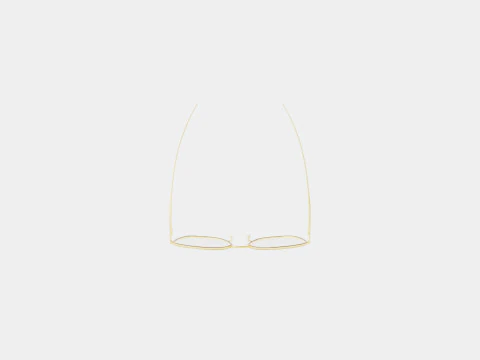 Rag and Bone - RNB3028 06J Glasses 3D Model