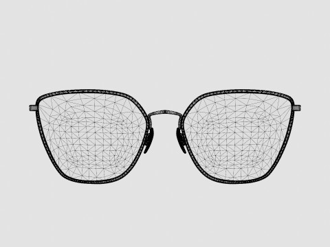 Rag and Bone - RNB3028 06J Glasses 3D Model