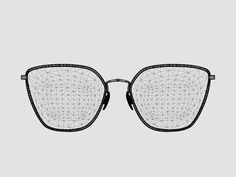 Rag and Bone - RNB3028 06J Glasses 3D Model