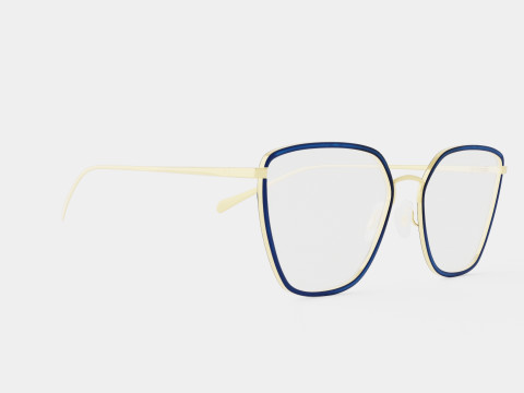 Rag and Bone - RNB3028 LKS Glasses 3D 모델