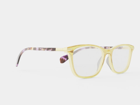 Rag and Bone - RNB3031 DEX Glasses 3D 모델