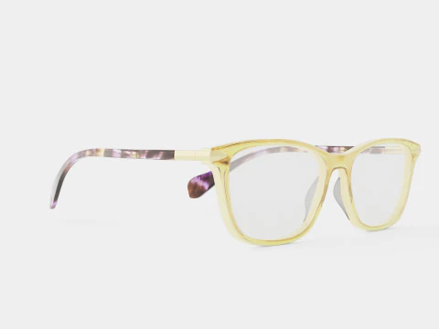 Rag and Bone - RNB3031 DEX 안경 3D 모델