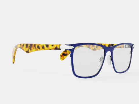 Rag and Bone - RNB7009 U1F Glasses 3D Model
