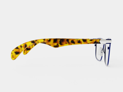 Rag and Bone - RNB7009 U1F Glasses 3D Модель