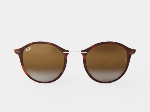 Ray-Ban - RB4242 620113 Sunglasses 3D 模型