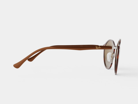 Ray-Ban - RB4242 620113 Sunglasses 3D 模型