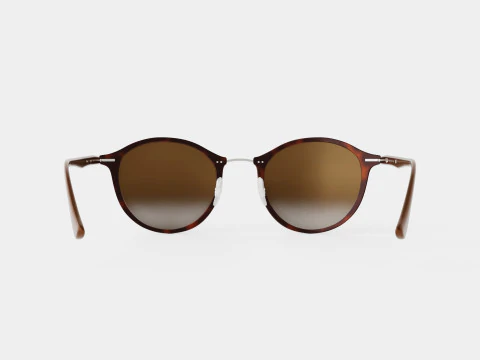 Ray-Ban - RB4242 620113 Sunglasses 3D Model