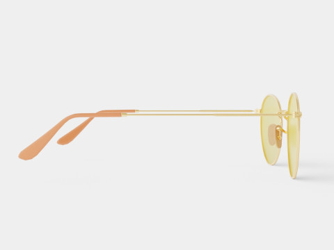 Ray-Ban Round metal - RB3447 90644C Sunglasses Model 3D