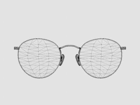 Ray-Ban Round metal - RB3447 90644C Sunglasses Model 3D