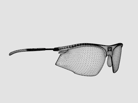 Rudy Project Rydon - Carbon ImpactX Photochromic Golf Sport Glasses 3D Model
