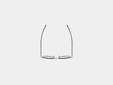Saint Laurent - SL 124 004 Glasses 3D-Modell