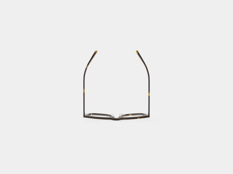 Saint Laurent - SL 343 002 Glasses Model 3D