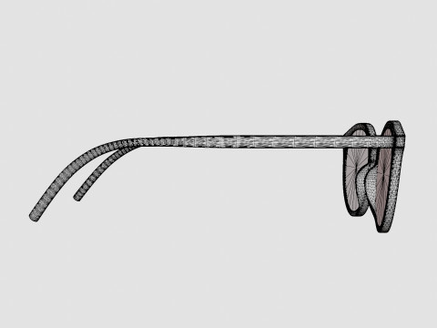 Saint Laurent - SL 347 005 Glasses 3D Model