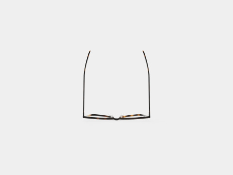Saint Laurent - SL 386 006 Glasses Model 3D