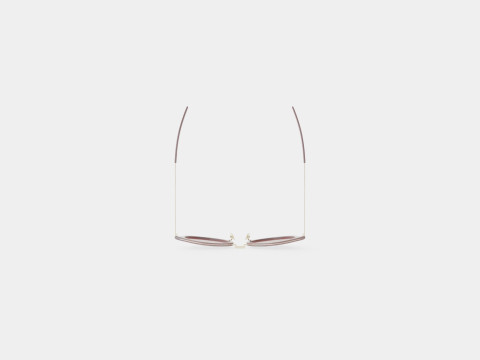 Saint Laurent - SL 57 005 Sunglasses Model 3D