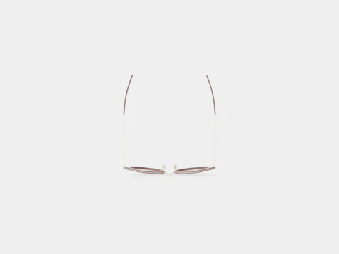 Saint Laurent - Lunettes de soleil SL 57 005 Modèle 3D