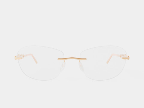 Silhouette - 5512 3520 Glasses 3D-Modell